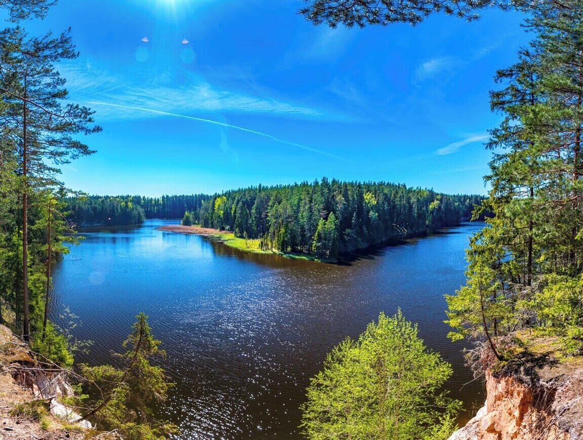 A calm lake surrounded by dense forest and a clear blue sky.