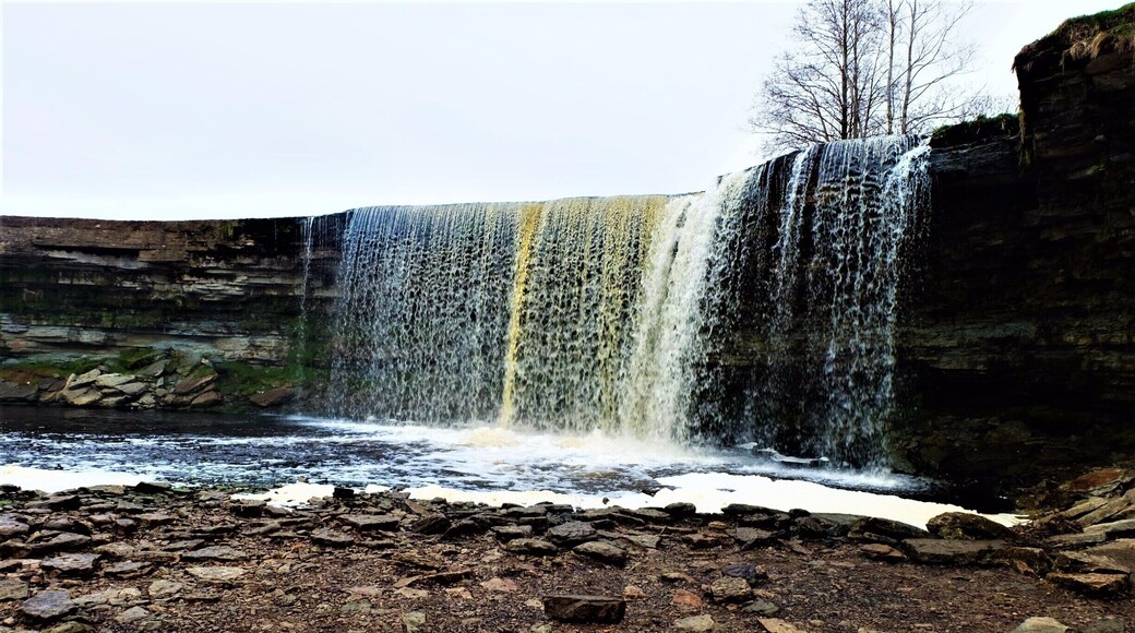 The highest waterfall in Estonia. It's... 8 meters tall.