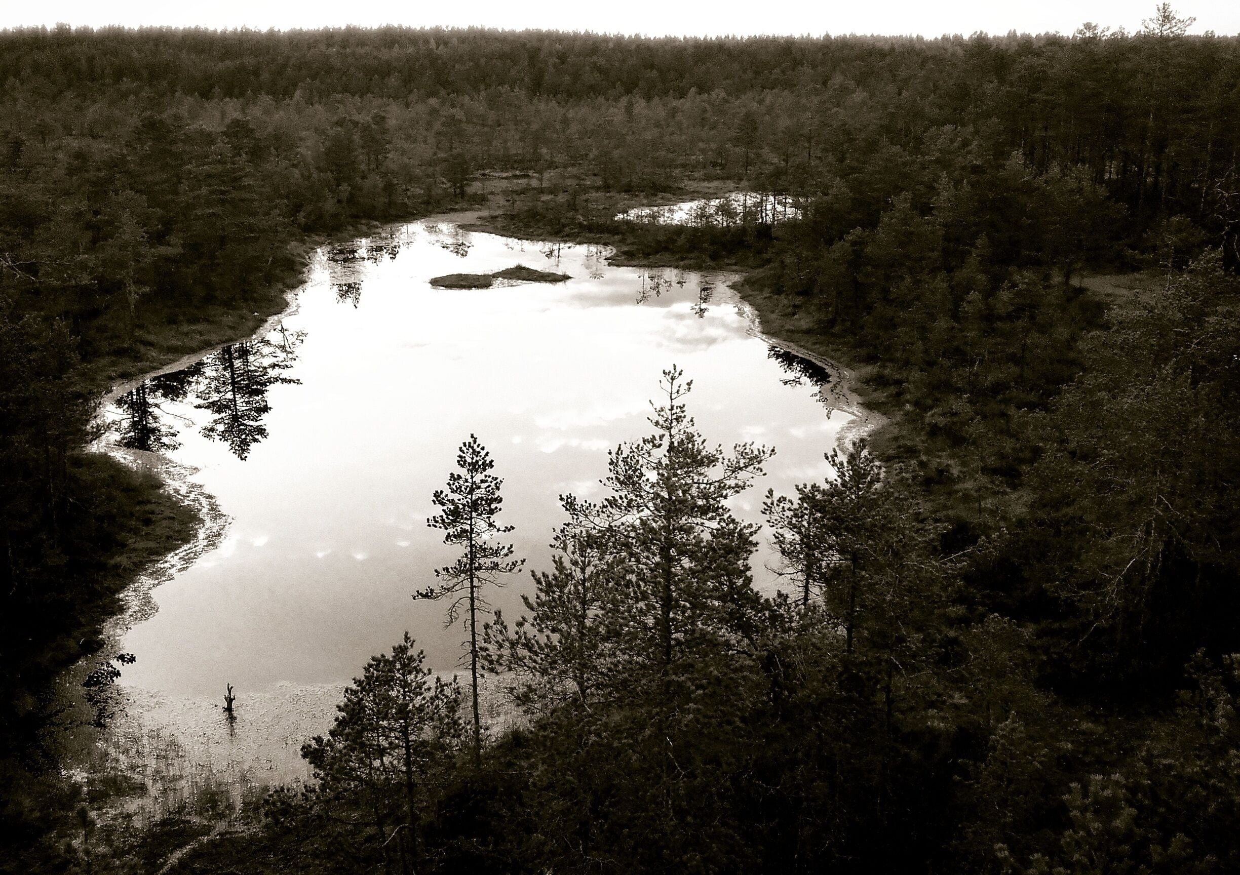 Got taken to the bogs😃😃 a fellow couchsurfer treated me to.this one. Bkessed
Fantastic national park. 
#Estonia #Estonian #mustsee #scenery #nature #bog #mustestonia #baltics #vacation #beautiful #being #seizingthemoment #highlights
#blessed