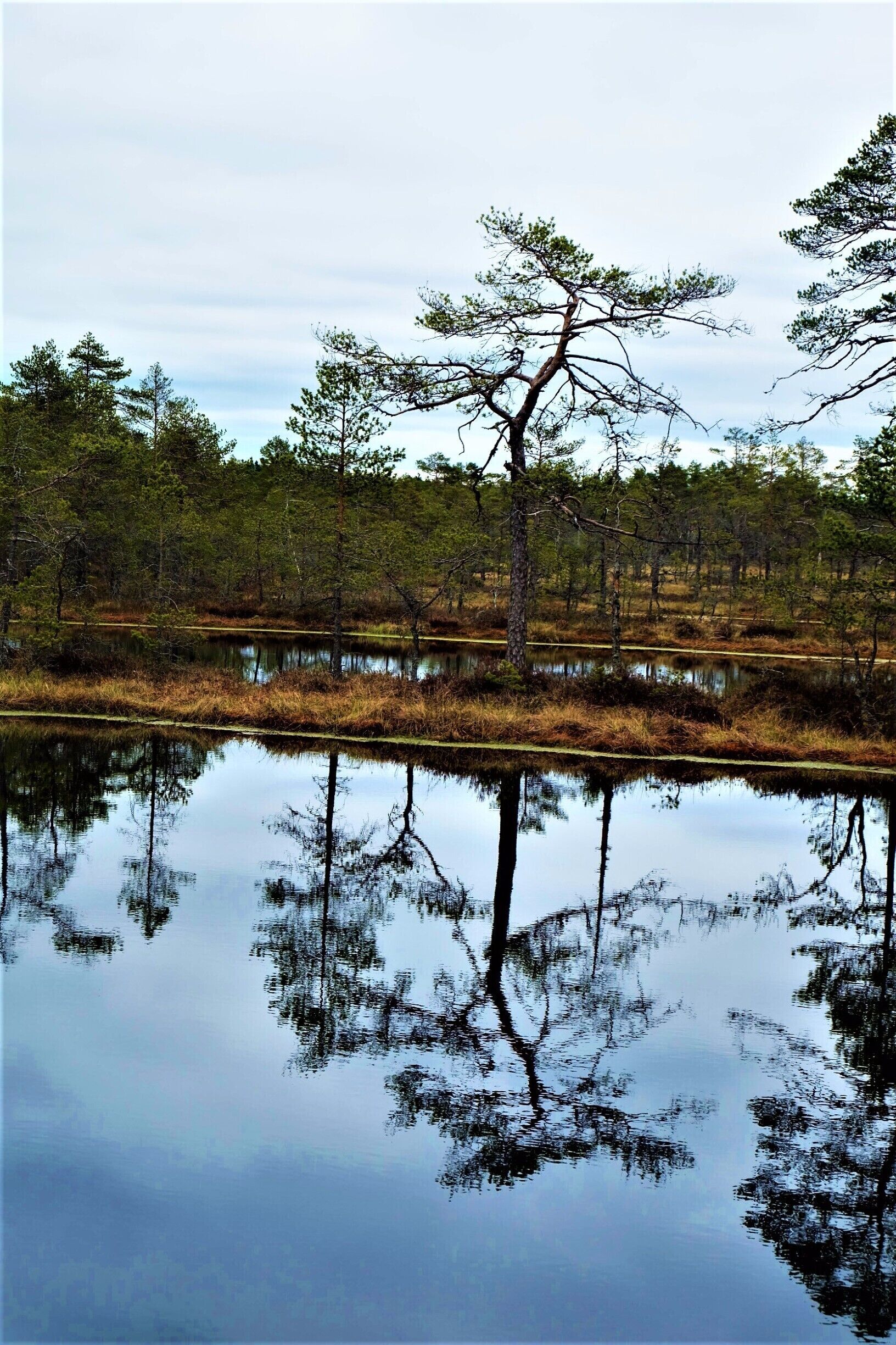 #Nationalpark #lifeatexpedia