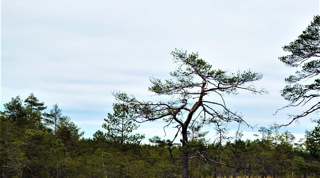 #Nationalpark #lifeatexpedia