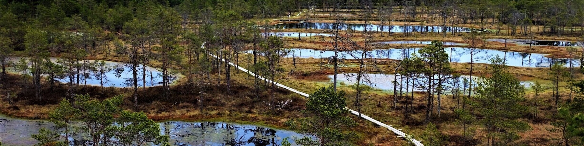 An unexceptional piece of nature in Estonia's largest #NationalPark. #lifeatexpedia