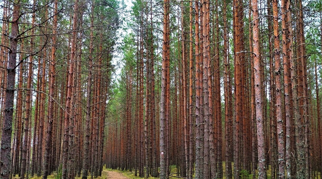 Largest #Nationalpark in Estonia. #Lifeatexpedia #red