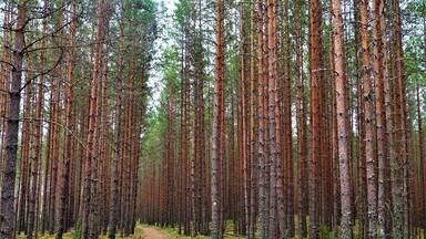 Largest #Nationalpark in Estonia. #Lifeatexpedia #red