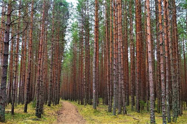 Largest #Nationalpark in Estonia. #Lifeatexpedia #red