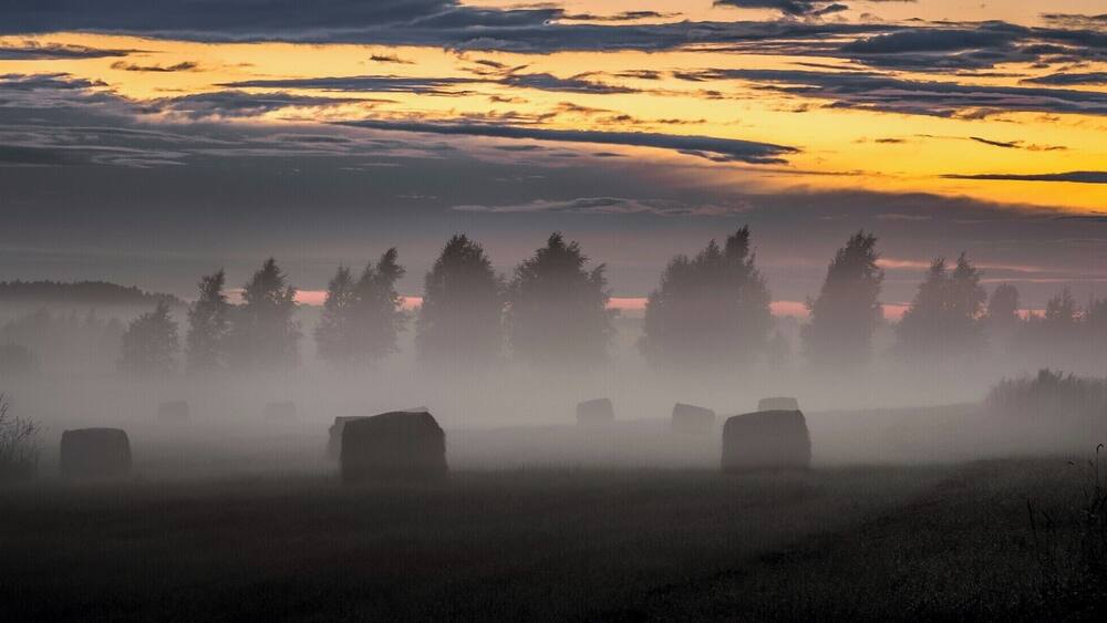 Ein nebliges Feld mit Heuballen und einem Wald im Abendrot.