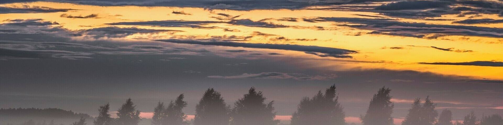 A cool view close to Pooli. On Tartu-Jõgeva highway.
#BVStrove #sunset #nature #fog #mist #trees #landscape #estonia #lähte