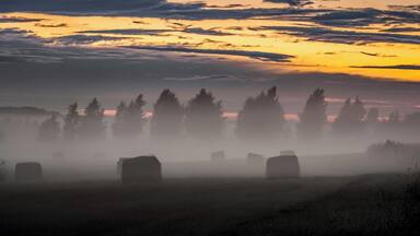 A misty field with hay bales and a forest at sunset.