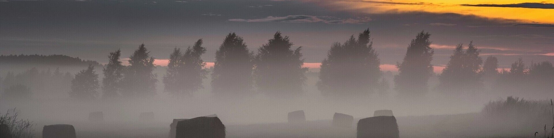 A cool view close to Pooli. On Tartu-Jõgeva highway.
#BVStrove #sunset #nature #fog #mist #trees #landscape #estonia #lähte