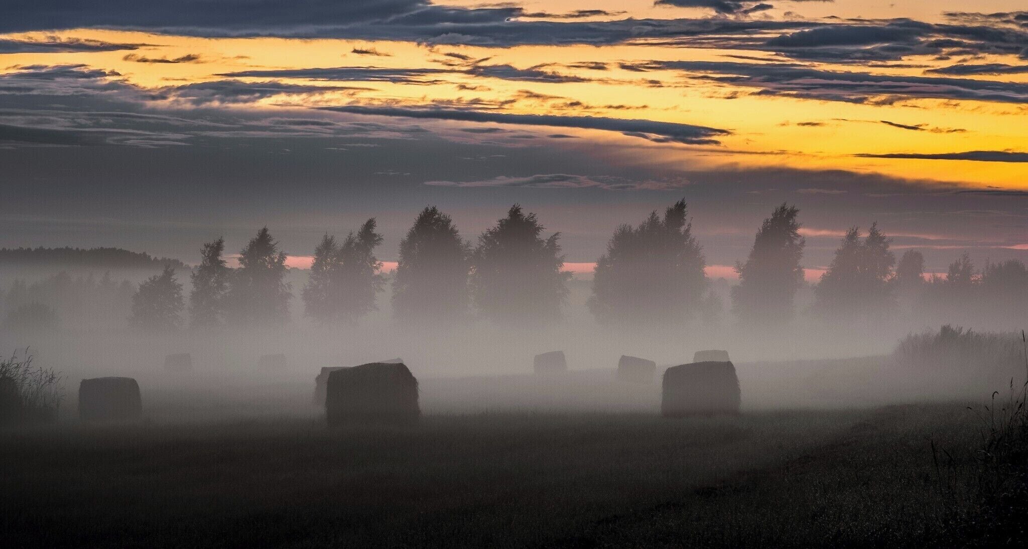 A misty field with hay bales and a forest at sunset.
