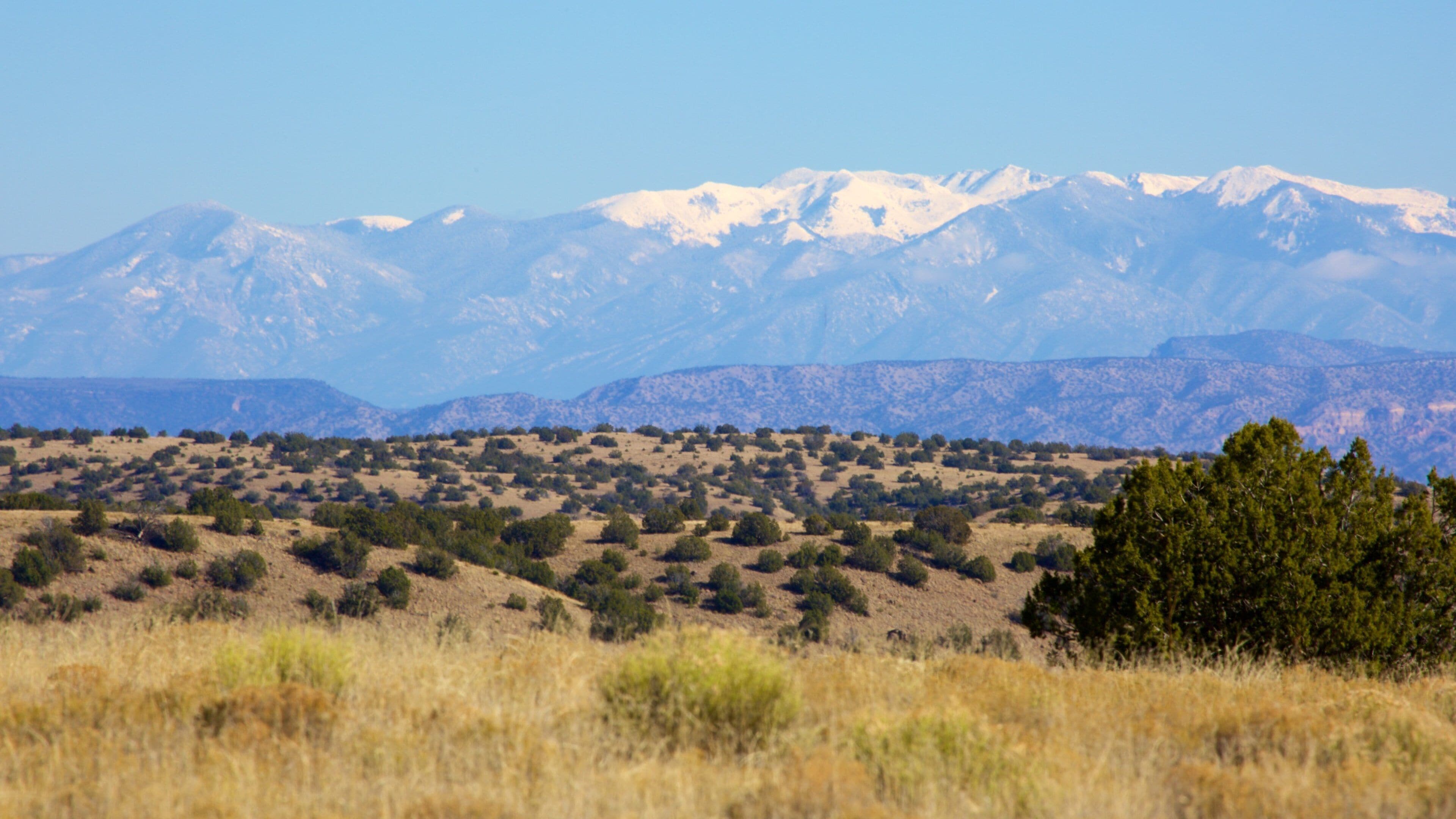 A mountainous landscape with snow-capped peaks in the background and a field of dry grass in the foreground.