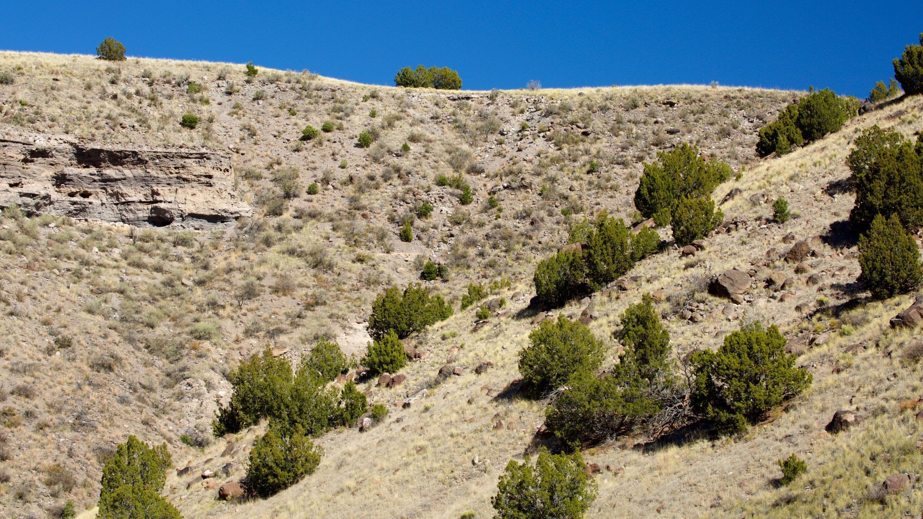 Espanola featuring mountains and tranquil scenes
