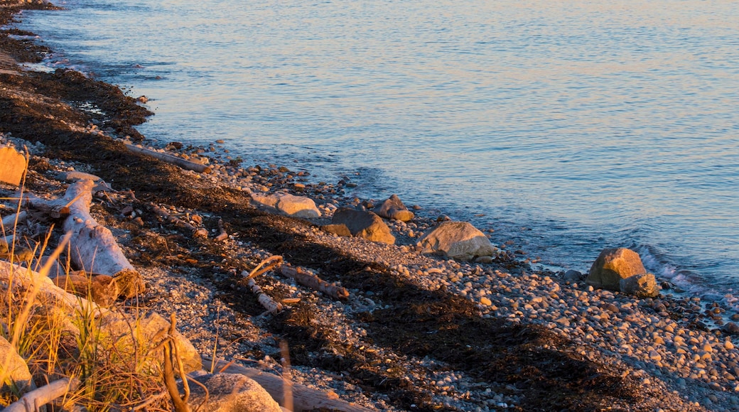Birch Bay Beach