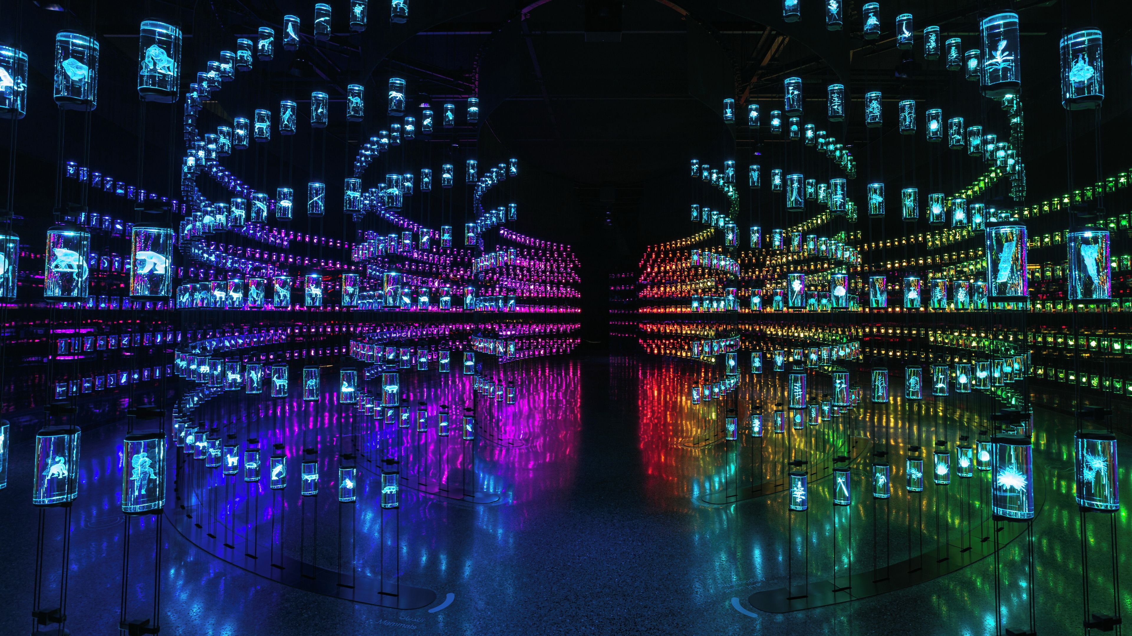 Un amplio espacio interior con numerosos cubos de vidrio iluminados suspendidos del techo, que se reflejan en el suelo.