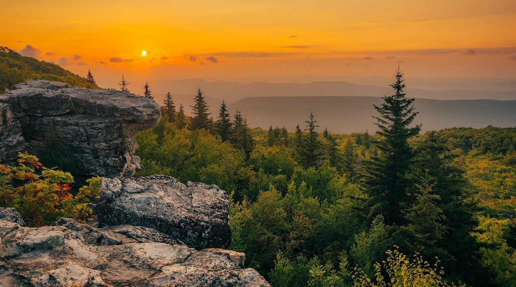 Sunrise at Bear Rocks Preserve, in Monongahela National Forest, West Virginia