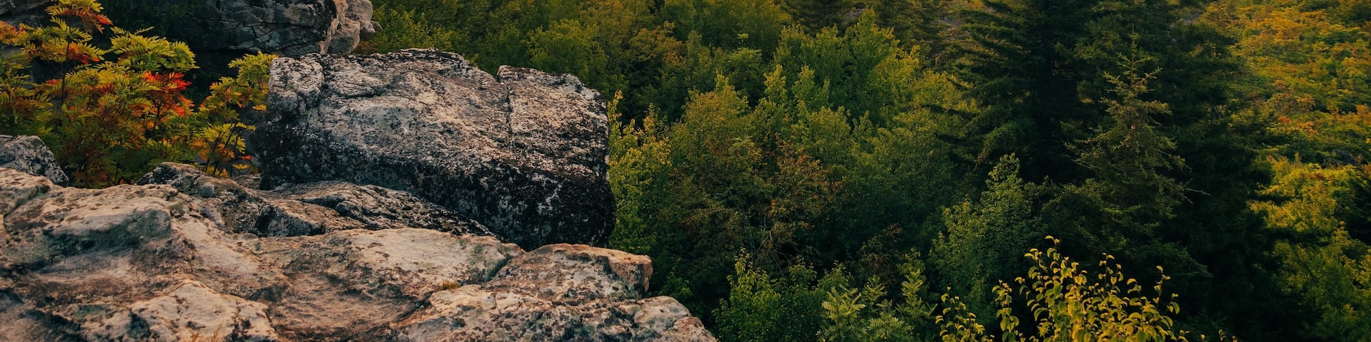 Sunrise at Bear Rocks Preserve, in Monongahela National Forest, West Virginia