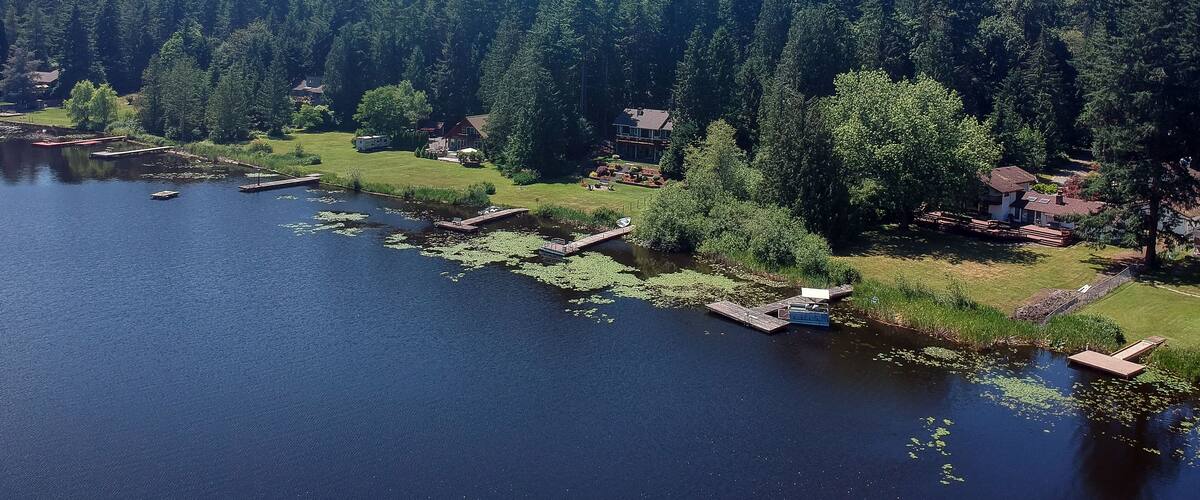 Sunny Lake Desire on a bright clear day in summertime with trees reflecting in the water a blue sky and white clouds with lily pads and the backyards and piers in King County Washington State