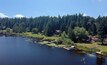 Sunny Lake Desire on a bright clear day in summertime with trees reflecting in the water a blue sky and white clouds with lily pads and the backyards and piers in King County Washington State