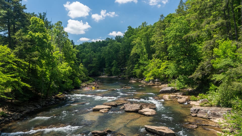 A river flowing through a forest with rocks and trees.