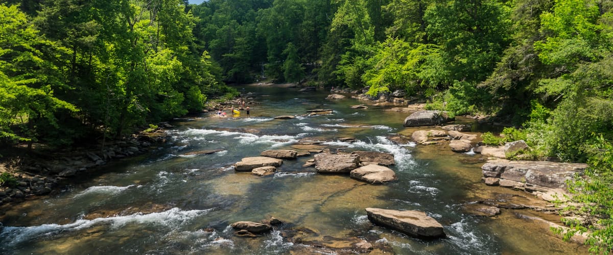 A river flowing through a forest with rocks and trees.