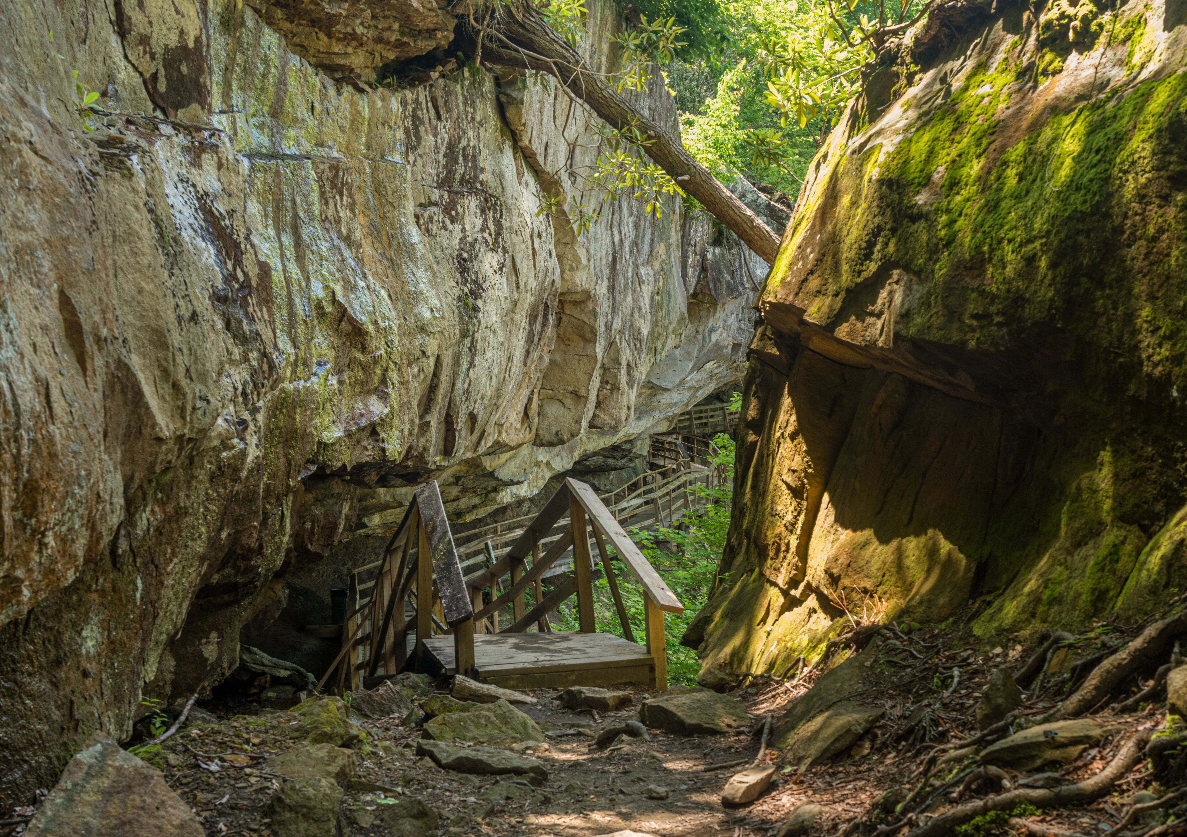 Wooden boardwalk and walkway under the cliffs in the Audra State Park near Buckhannon in West Virginia