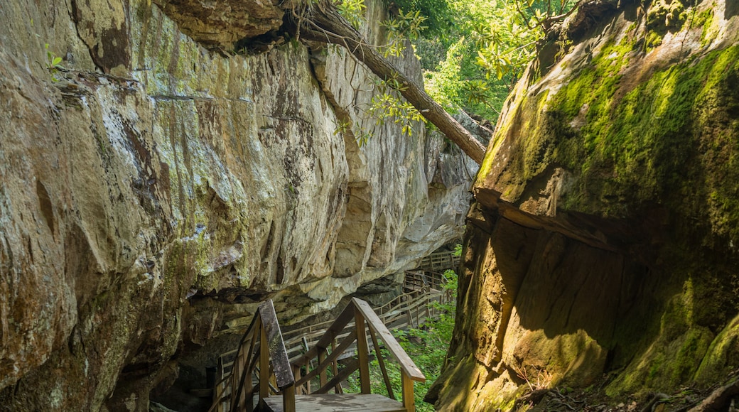 Wooden boardwalk and walkway under the cliffs in the Audra State Park near Buckhannon in West Virginia