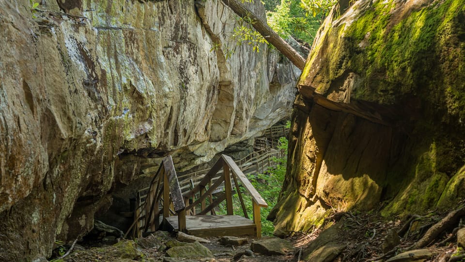 A forested area with a wooden staircase leading up a rocky cliff.