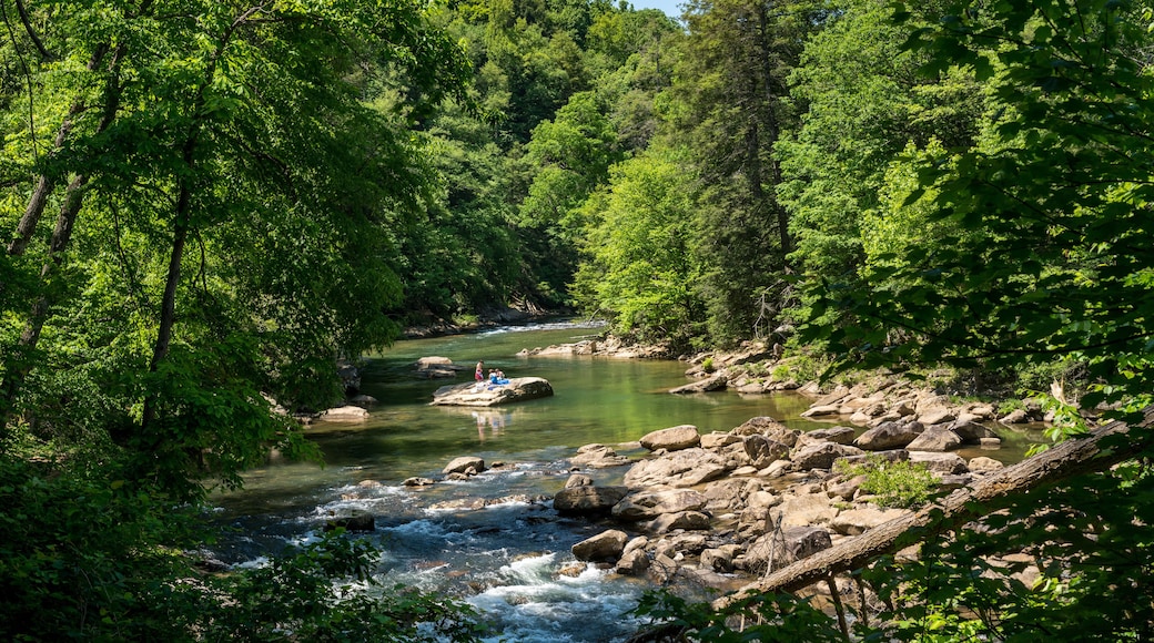 Visitors and families swim in the river at the Audra State Park near Buckhannon in West Virginia