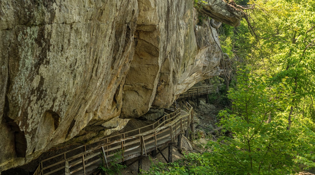 Wooden boardwalk and walkway under the cliffs in the Audra State Park near Buckhannon in West Virginia