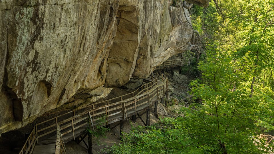 A wooden staircase leading up a rocky cliff.