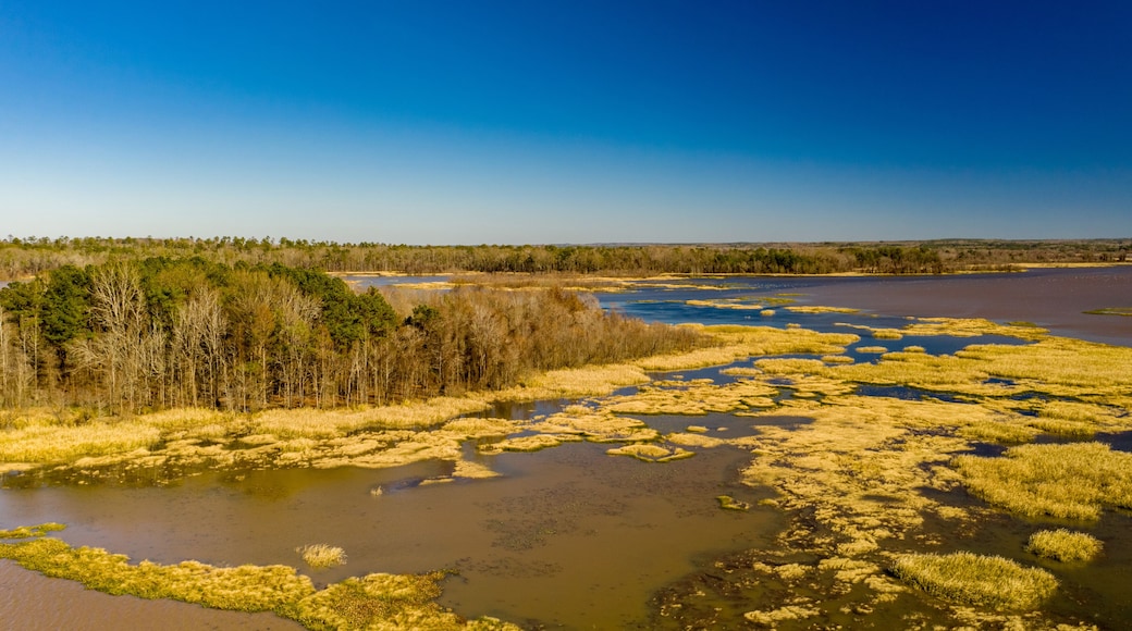 Nature Landscape Alabama USA aerial shot