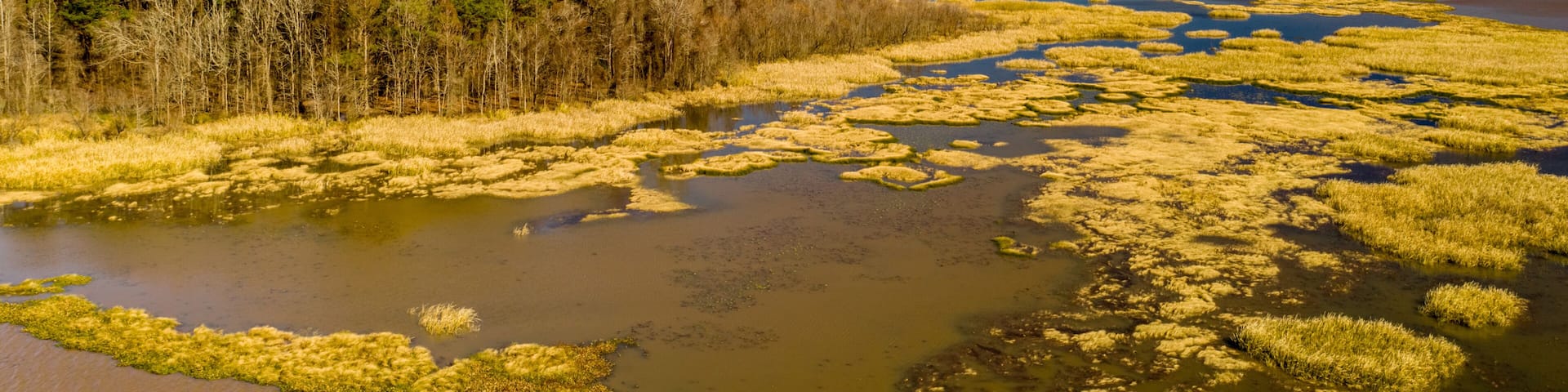 Nature Landscape Alabama USA aerial shot