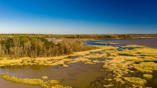 Nature Landscape Alabama USA aerial shot