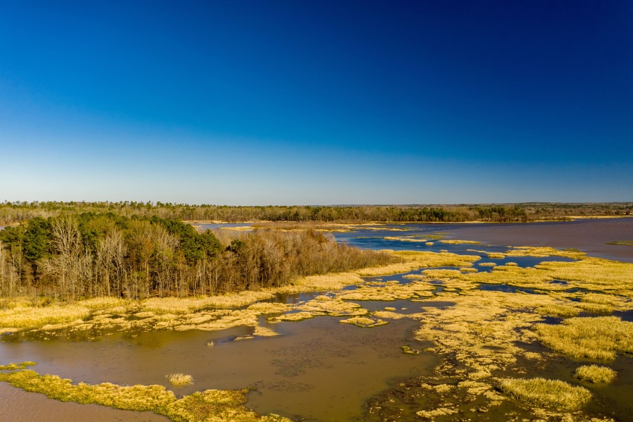 Nature Landscape Alabama USA aerial shot