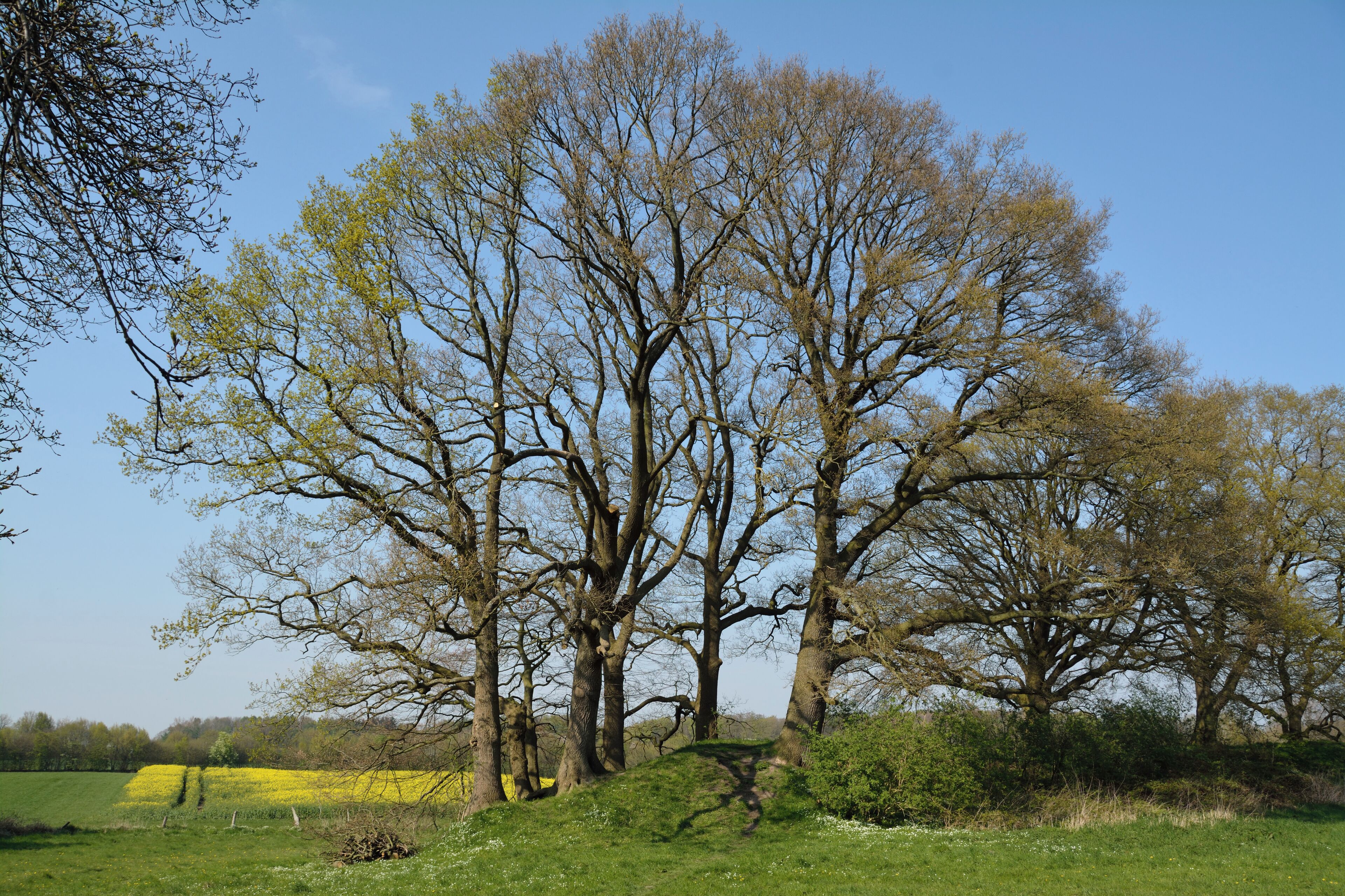 Landschaftsschutzgebiet "Stadtrand Neumünster" in der kreisfreien Stadt Neumünster, Schleswig-Holstein.