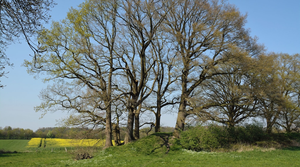 Landschaftsschutzgebiet "Stadtrand Neumünster" in der kreisfreien Stadt Neumünster, Schleswig-Holstein.