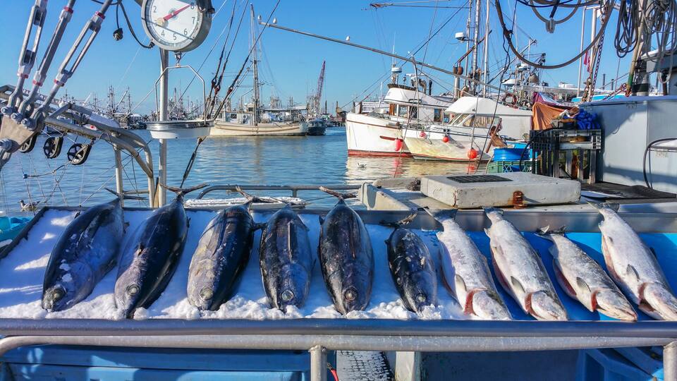 Fish Market at Steveston Village