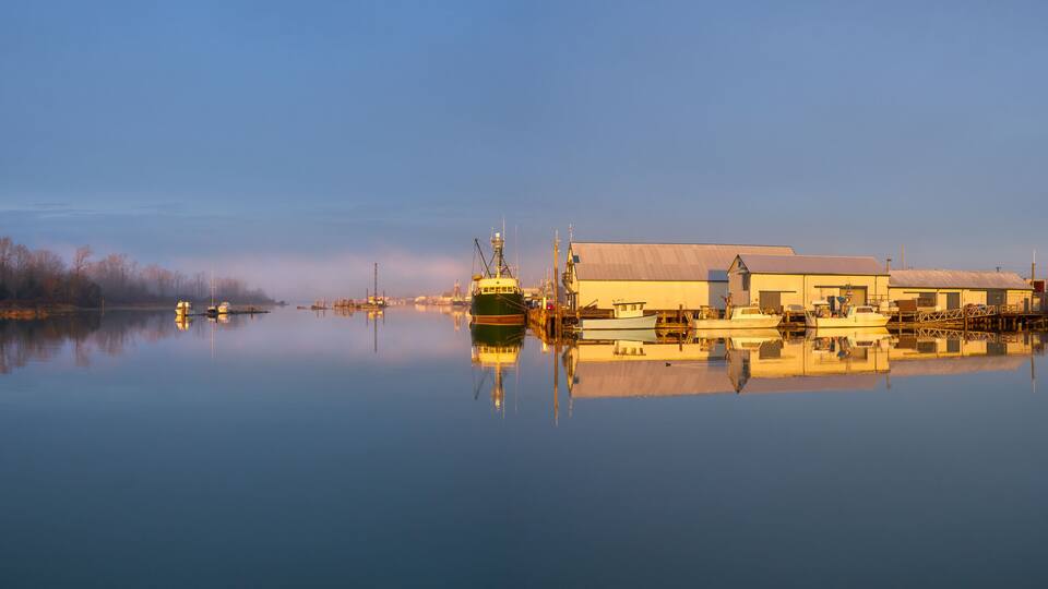 London Landing Sunrise Light Morning Docks. Commercial Fishboats tied to the docks at London Landing in Steveston Harbour on a misty sunrise morning at high tide.