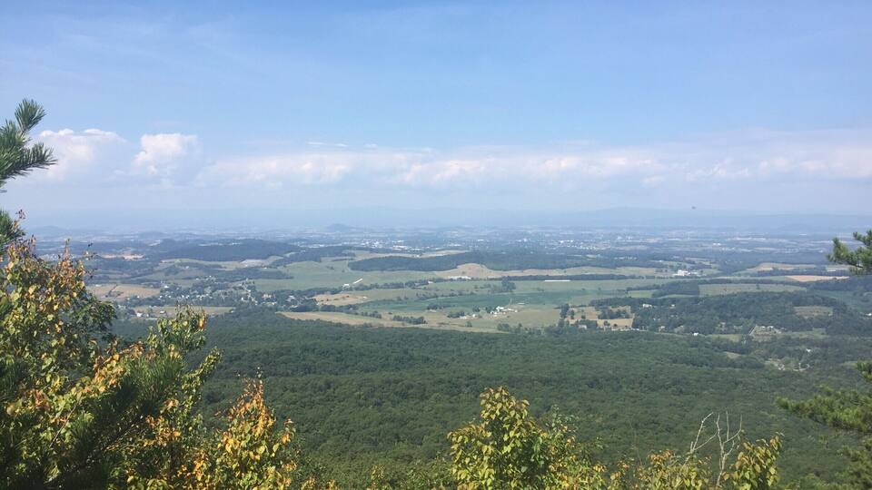 A panoramic view of a hilly landscape with dense forests and scattered buildings.