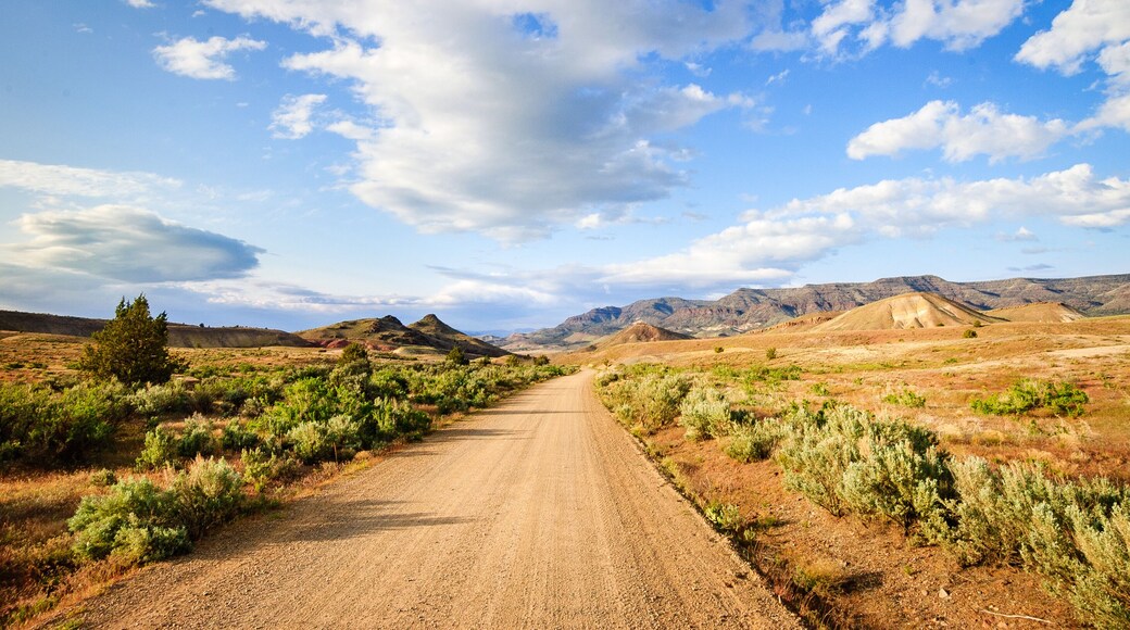 Camino Escénico del Campo Snake River-Mormon Basin