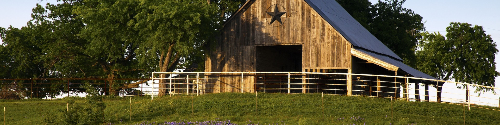 Bluebonnet Trail Barn on the Hill, Near Ennis Texas