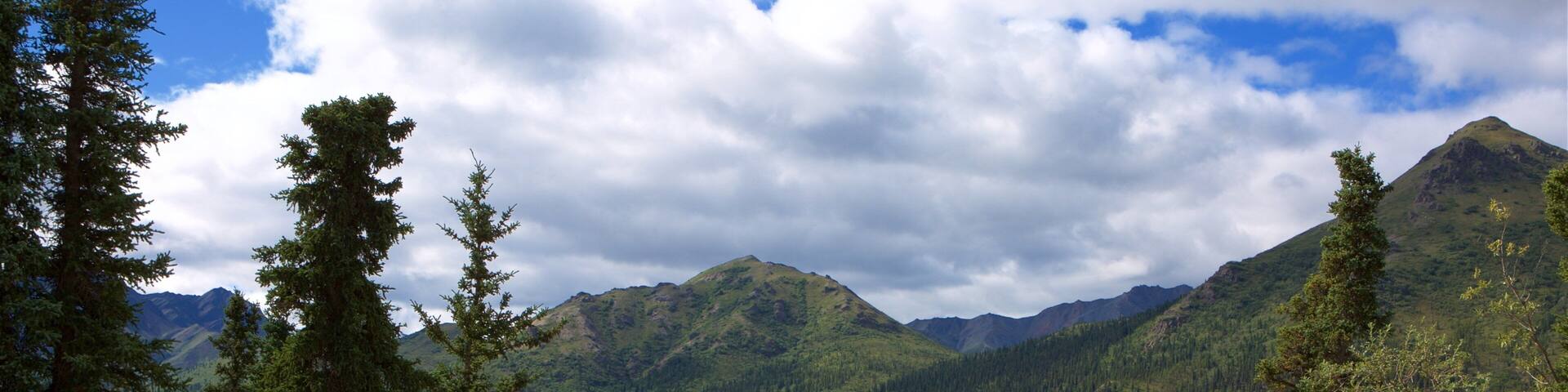 The George Parks Highway Scenic Byway featuring tranquil scenes and views as well as a small group of people