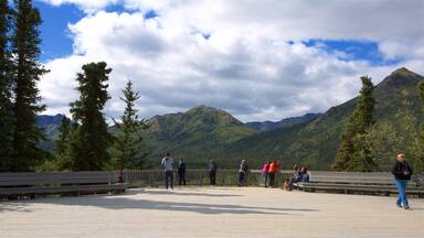 The George Parks Highway Scenic Byway featuring tranquil scenes and views as well as a small group of people