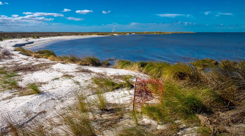 Camino Escénico de Pamlico