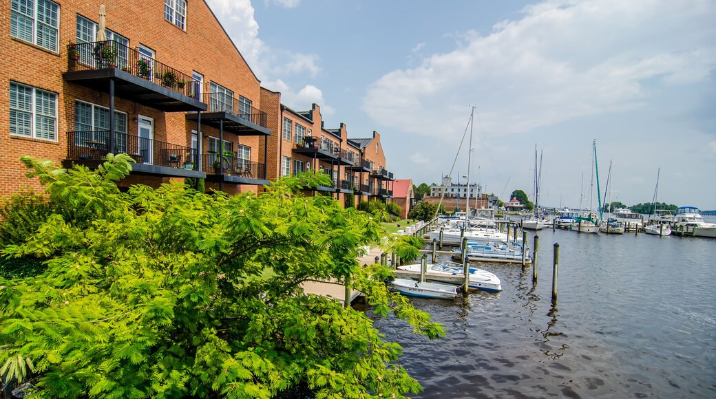 Camino Escénico de Pamlico