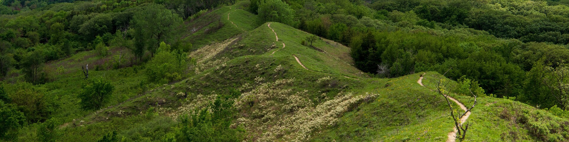 Scenic Overlook near Preparation Canyon State Park along the Loess Hills National Scenic Byway, Iowa