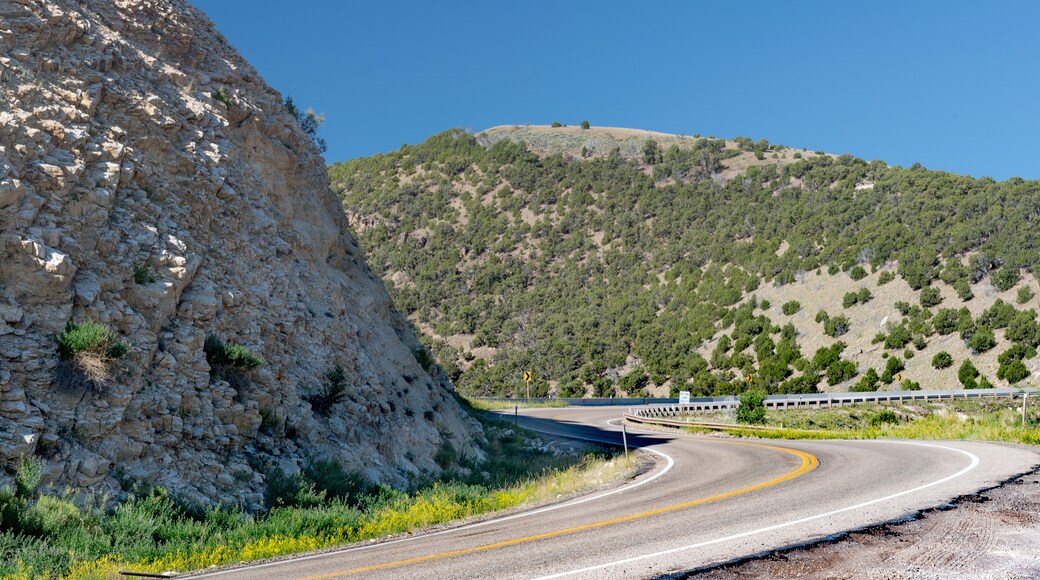 Camino Escénico Flaming Gorge - Cuenca del Río Verde