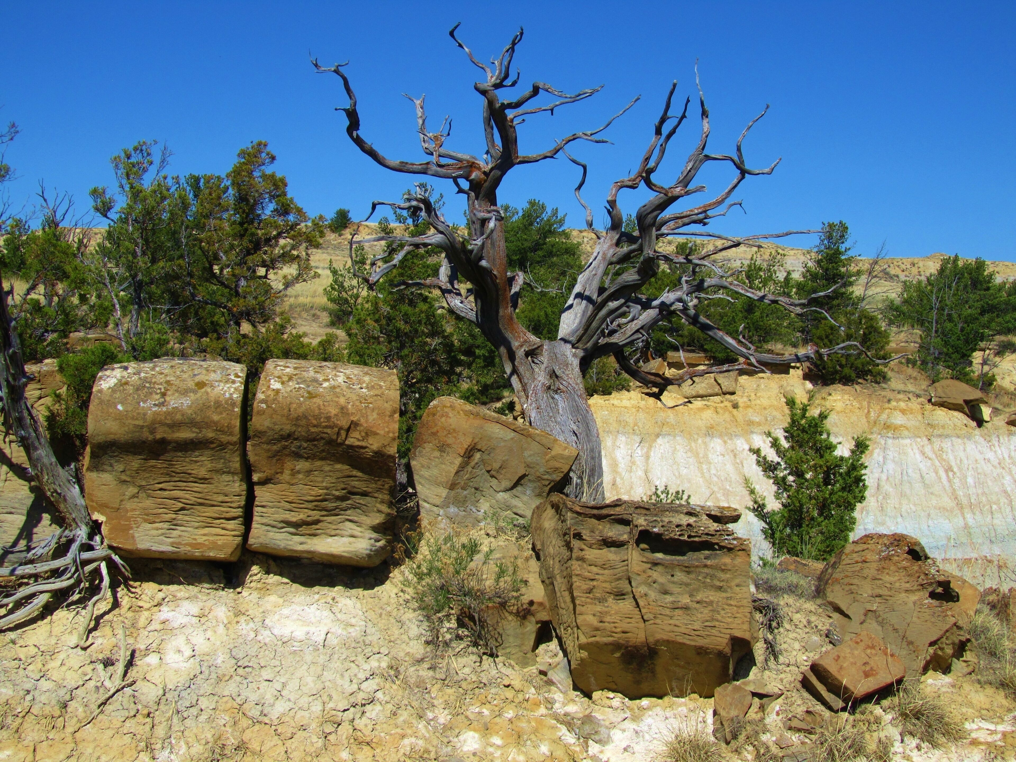 Formation scenery/landscape in Terry Badlands Wilderness Study Area, Montana