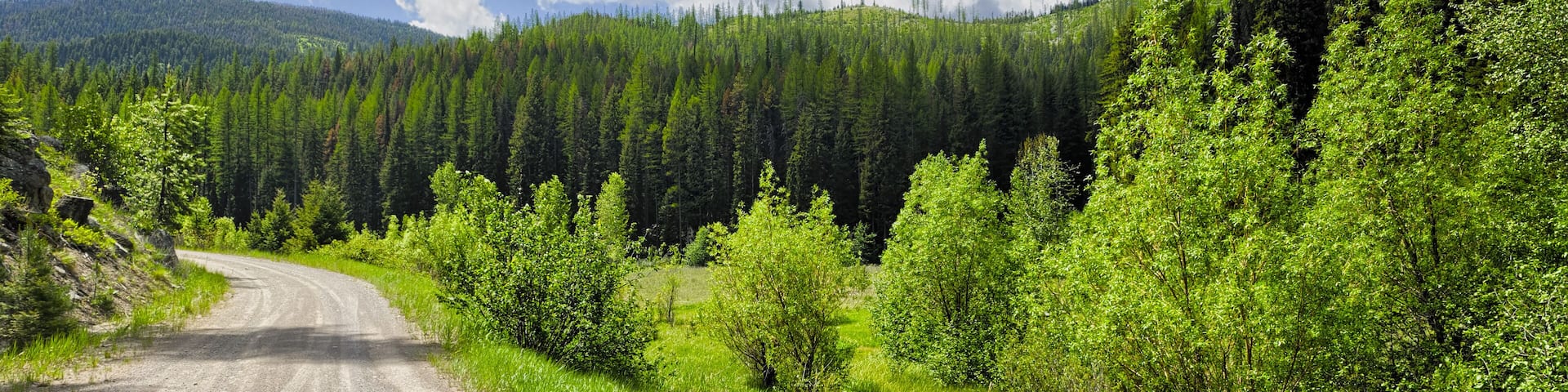 Scenic Byway in Montana, with lush green forests; Shutterstock ID 411497146; purchase_order: Scenic Routes Q4 Purchasing; Order: ; client: ; job: