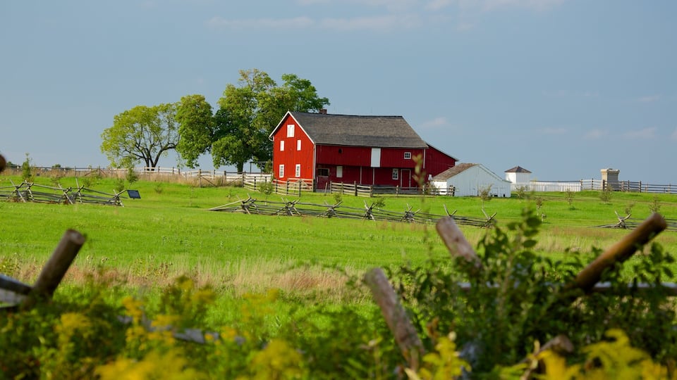 A red barn, green field, white fence, and trees.